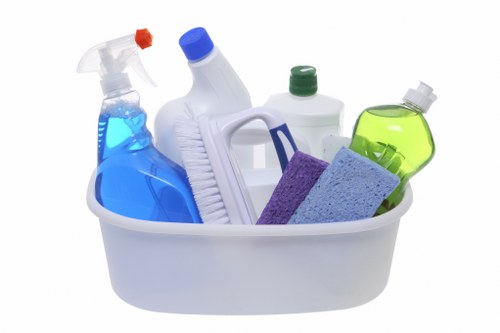 Experienced cleaner sanitising a bathroom in a Kennington home
