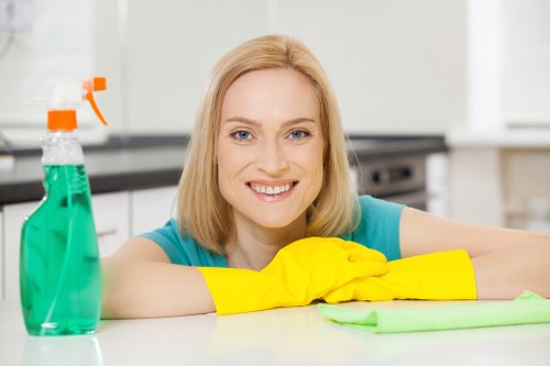 Accessibility support notice for Deep Cleaning Kennington users
