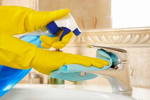 Professional deep cleaning equipment and supplies prepared for service