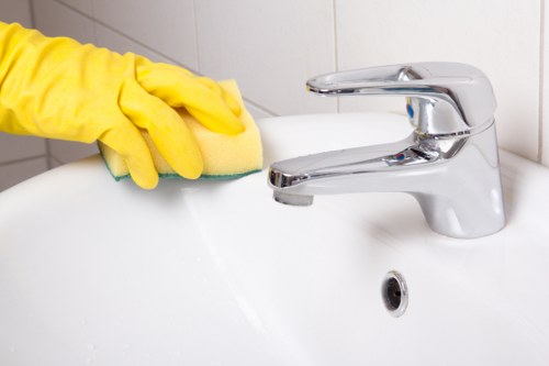Bathroom sanitising as part of domestic cleaning in Kennington